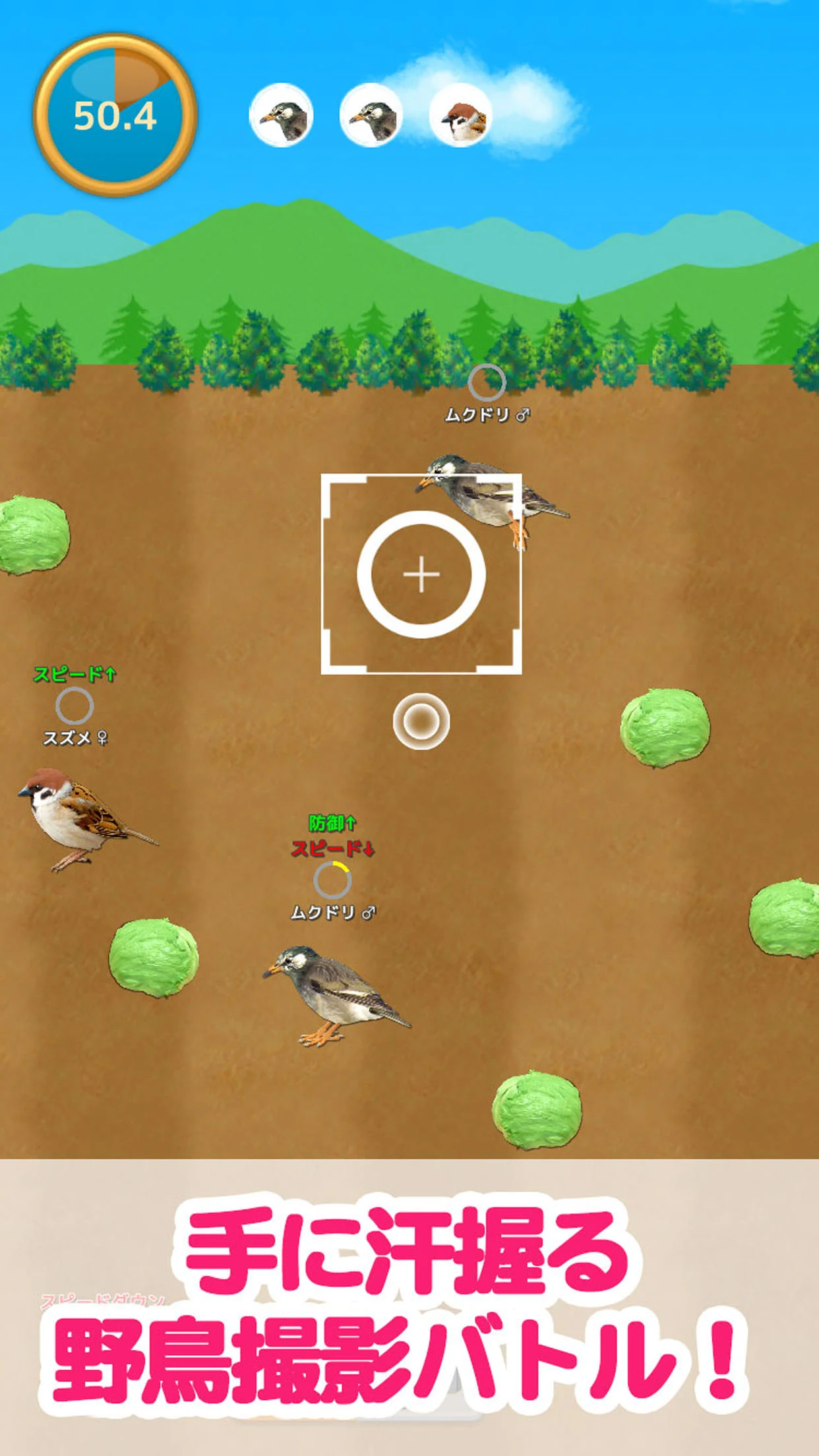 鳥マスター！ screenshot