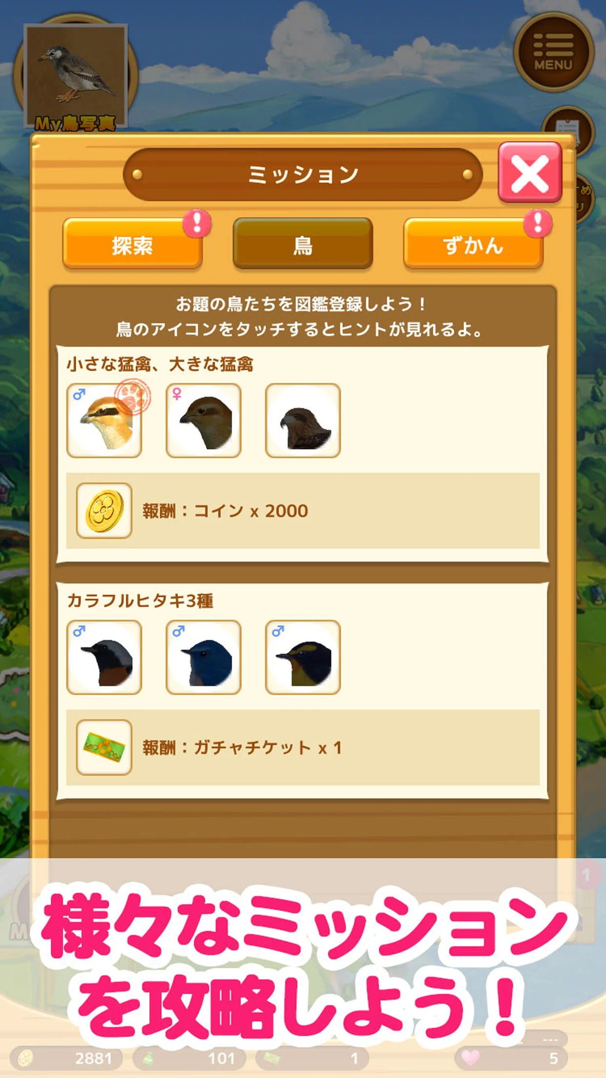鳥マスター！ screenshot