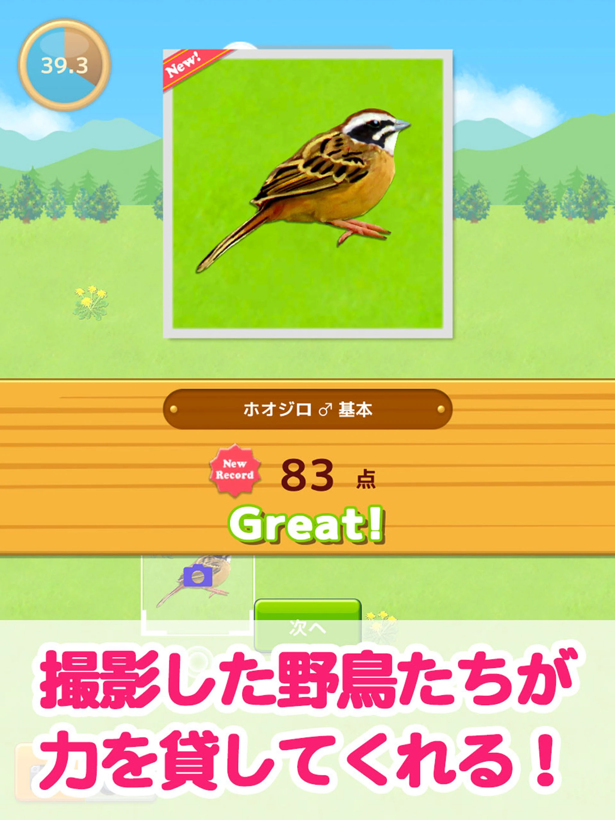 鳥マスター！ screenshot