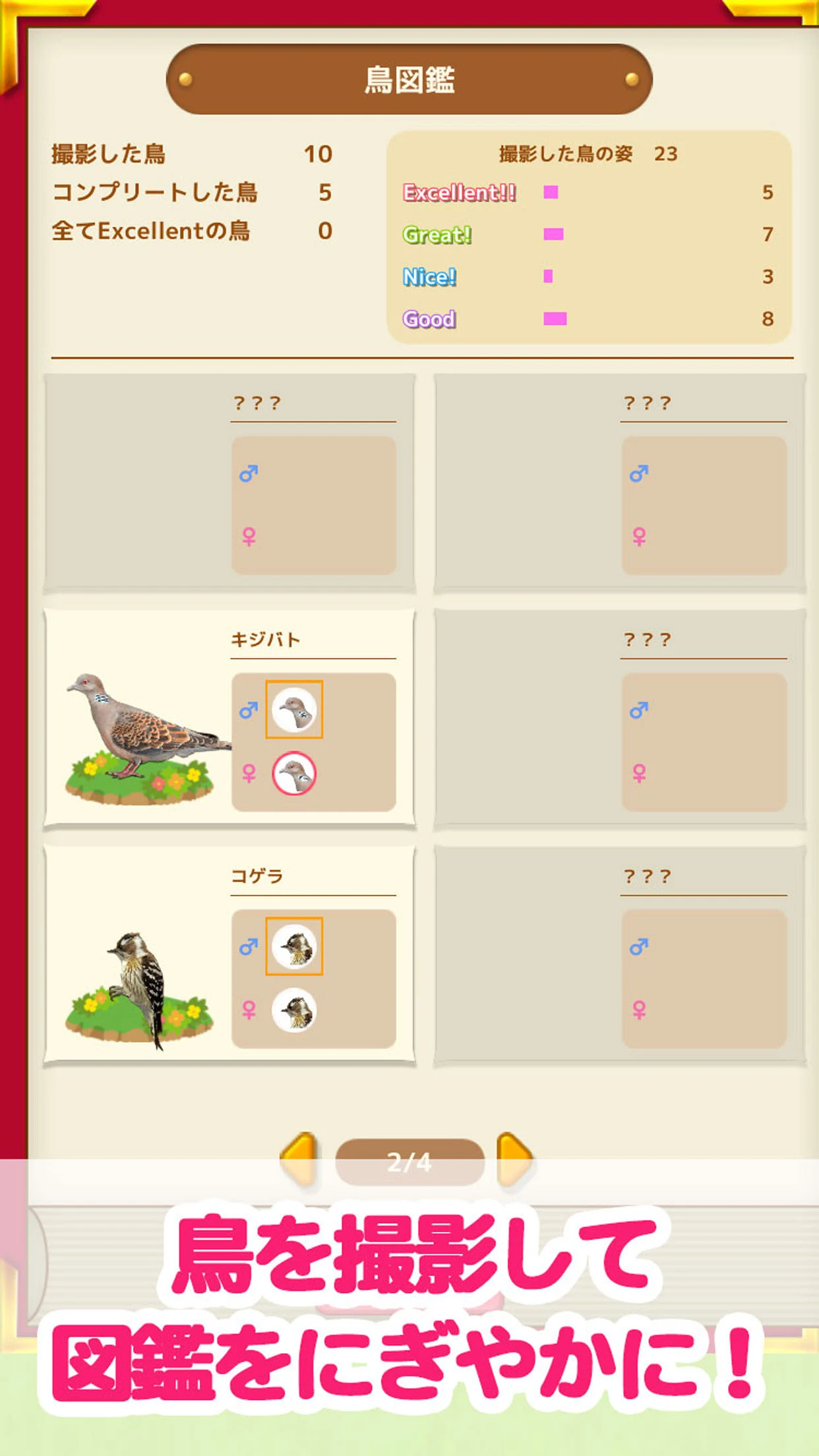鳥マスター！ screenshot